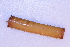  ( - CCDB22759-A01)  @11 [ ] CreativeCommons - Attribution Non-Commercial Share-Alike (2015) Melissa Frey Royal BC Museum