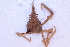  ( - CCDB22759-A04)  @11 [ ] CreativeCommons - Attribution Non-Commercial Share-Alike (2015) Melissa Frey Royal BC Museum
