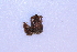  ( - CCDB22759-A09)  @11 [ ] CreativeCommons - Attribution Non-Commercial Share-Alike (2015) Melissa Frey Royal BC Museum