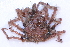  ( - CCDB22759-B02)  @11 [ ] CreativeCommons - Attribution Non-Commercial Share-Alike (2015) Melissa Frey Royal BC Museum