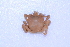  ( - CCDB22759-C10)  @11 [ ] CreativeCommons - Attribution Non-Commercial Share-Alike (2015) Melissa Frey Royal BC Museum