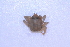  ( - CCDB22759-D07)  @11 [ ] CreativeCommons - Attribution Non-Commercial Share-Alike (2015) Melissa Frey Royal BC Museum