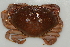  ( - CCDB22759-E07)  @11 [ ] CreativeCommons - Attribution Non-Commercial Share-Alike (2015) Melissa Frey Royal BC Museum