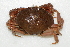  ( - CCDB22759-F02)  @11 [ ] CreativeCommons - Attribution Non-Commercial Share-Alike (2015) Melissa Frey Royal BC Museum