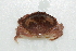  ( - CCDB22759-F04)  @11 [ ] CreativeCommons - Attribution Non-Commercial Share-Alike (2015) Melissa Frey Royal BC Museum