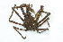  ( - CCDB22761-C03)  @11 [ ] CreativeCommons - Attribution Non-Commercial Share-Alike (2015) Melissa Frey Royal BC Museum