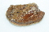  ( - CCDB22762-H01)  @11 [ ] CreativeCommons - Attribution Non-Commercial Share-Alike (2015) Melissa Frey Royal BC Museum