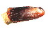  (Acharacinae - CCDB22172-A02)  @11 [ ] CreativeCommons - Attribution (2014) Kara Layton Centre for Biodiversity Genomics