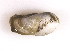  ( - CCDB22174-B10)  @12 [ ] CreativeCommons - Attribution (2014) Kara Layton Centre for Biodiversity Genomics