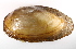  ( - CCDB22174-G06)  @12 [ ] CreativeCommons - Attribution (2014) Kara Layton Centre for Biodiversity Genomics