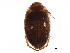  ( - BIOUG34210-E03)  @14 [ ] CreativeCommons - Attribution (2018) CBG Photography Group Centre for Biodiversity Genomics