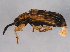 ( - BIOUG07914-G11)  @12 [ ] CreativeCommons - Attribution (2014) CBG Photography Group Centre for Biodiversity Genomics