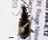  ( - BIOUG07954-E12)  @13 [ ] CreativeCommons - Attribution (2014) CBG Photography Group Centre for Biodiversity Genomics