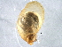  ( - BIOUG07961-A02)  @14 [ ] CreativeCommons - Attribution (2013) CBG Photography Group Centre for Biodiversity Genomics