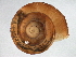  ( - BIOUG07961-B01)  @14 [ ] CreativeCommons - Attribution (2013) CBG Photography Group Centre for Biodiversity Genomics