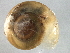  ( - BIOUG07961-B02)  @13 [ ] CreativeCommons - Attribution (2013) CBG Photography Group Centre for Biodiversity Genomics