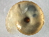  ( - BIOUG07961-B02)  @12 [ ] CreativeCommons - Attribution (2013) CBG Photography Group Centre for Biodiversity Genomics