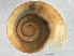  ( - BIOUG07961-B04)  @14 [ ] CreativeCommons - Attribution (2013) CBG Photography Group Centre for Biodiversity Genomics