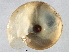  ( - BIOUG07961-B05)  @13 [ ] CreativeCommons - Attribution (2013) CBG Photography Group Centre for Biodiversity Genomics