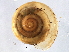  ( - BIOUG07961-D03)  @14 [ ] CreativeCommons - Attribution (2013) CBG Photography Group Centre for Biodiversity Genomics