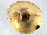  ( - BIOUG07961-D03)  @14 [ ] CreativeCommons - Attribution (2013) CBG Photography Group Centre for Biodiversity Genomics