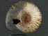  ( - BIOUG07961-F06)  @13 [ ] CreativeCommons - Attribution (2013) CBG Photography Group Centre for Biodiversity Genomics