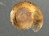  ( - BIOUG08048-A12)  @12 [ ] CreativeCommons - Attribution (2013) CBG Photography Group Centre for Biodiversity Genomics