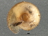  ( - BIOUG08048-A12)  @12 [ ] CreativeCommons - Attribution (2013) CBG Photography Group Centre for Biodiversity Genomics
