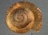  ( - BIOUG08048-B01)  @13 [ ] CreativeCommons - Attribution (2013) CBG Photography Group Centre for Biodiversity Genomics