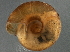  ( - BIOUG08048-B01)  @13 [ ] CreativeCommons - Attribution (2013) CBG Photography Group Centre for Biodiversity Genomics