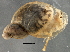  ( - BIOUG08048-G02)  @13 [ ] CreativeCommons - Attribution (2013) CBG Photography Group Centre for Biodiversity Genomics