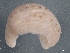  ( - BIOUG08058-F05)  @11 [ ] CreativeCommons - Attribution (2013) CBG Photography Group Centre for Biodiversity Genomics