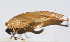  ( - 201501-4G)  @12 [ ] CreativeCommons - Attribution (2010) Zhi-Jun Zhou Centre for Biodiversity Genomics