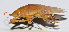  ( - 201501-7F)  @12 [ ] CreativeCommons - Attribution (2010) Zhi-Jun Zhou Centre for Biodiversity Genomics