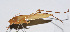  ( - 201501-8A)  @12 [ ] CreativeCommons - Attribution (2010) Zhi-Jun Zhou Centre for Biodiversity Genomics