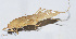  ( - 201502-12E)  @13 [ ] CreativeCommons - Attribution (2010) Zhi-Jun Zhou Centre for Biodiversity Genomics