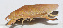  ( - 201502-1F)  @12 [ ] CreativeCommons - Attribution (2010) Zhi-Jun Zhou Centre for Biodiversity Genomics