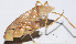  ( - 201502-3E)  @12 [ ] CreativeCommons - Attribution (2010) Zhi-Jun Zhou Centre for Biodiversity Genomics