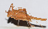  ( - 201503-3A)  @12 [ ] CreativeCommons - Attribution (2010) Zhi-Jun Zhou Centre for Biodiversity Genomics