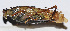  ( - 201503-6G)  @12 [ ] CreativeCommons - Attribution (2010) Zhi-Jun Zhou Centre for Biodiversity Genomics