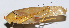  ( - 201504-1H)  @11 [ ] CreativeCommons - Attribution (2010) Zhi-Jun Zhou Centre for Biodiversity Genomics