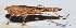  ( - 201505-10E)  @12 [ ] CreativeCommons - Attribution (2010) Zhi-Jun Zhou Centre for Biodiversity Genomics