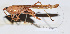  ( - 201505-12F)  @13 [ ] CreativeCommons - Attribution (2010) Zhi-Jun Zhou Centre for Biodiversity Genomics