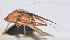  ( - 201505-12G)  @13 [ ] CreativeCommons - Attribution (2010) Zhi-Jun Zhou Centre for Biodiversity Genomics