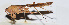  ( - 201505-5C)  @13 [ ] CreativeCommons - Attribution (2010) Zhi-Jun Zhou Centre for Biodiversity Genomics