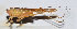  ( - 201505-7E)  @13 [ ] CreativeCommons - Attribution (2010) Zhi-Jun Zhou Centre for Biodiversity Genomics
