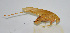  ( - 20150501002)  @12 [ ] CreativeCommons - Attribution (2010) Zhi-Jun Zhou Centre for Biodiversity Genomics