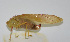  ( - 20150501004)  @12 [ ] CreativeCommons - Attribution (2010) Zhi-Jun Zhou Centre for Biodiversity Genomics