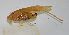  ( - 20150501010)  @12 [ ] CreativeCommons - Attribution (2010) Zhi-Jun Zhou Centre for Biodiversity Genomics