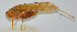  ( - 20150501022)  @12 [ ] CreativeCommons - Attribution (2010) Zhi-Jun Zhou Centre for Biodiversity Genomics